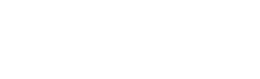 Rokid VN
